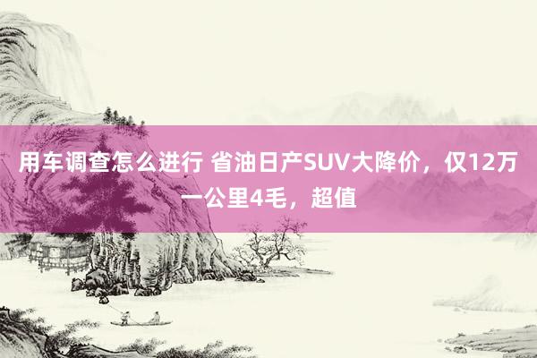 用车调查怎么进行 省油日产SUV大降价，仅12万一公里4毛，超值