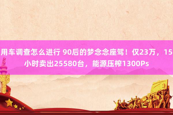 用车调查怎么进行 90后的梦念念座驾！仅23万，15小时卖出25580台，能源压榨1300Ps