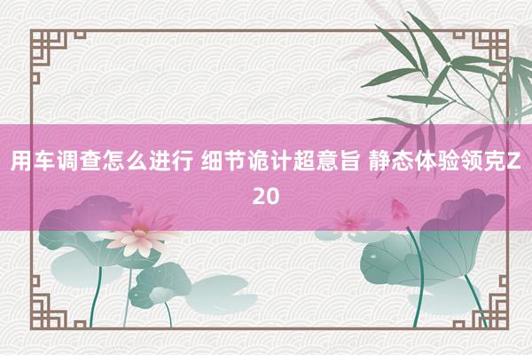 用车调查怎么进行 细节诡计超意旨 静态体验领克Z20