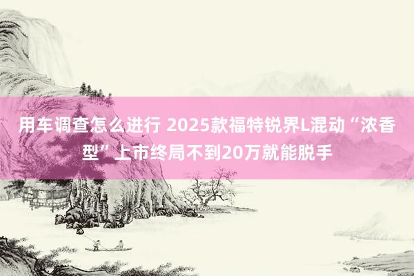 用车调查怎么进行 2025款福特锐界L混动“浓香型”上市终局不到20万就能脱手