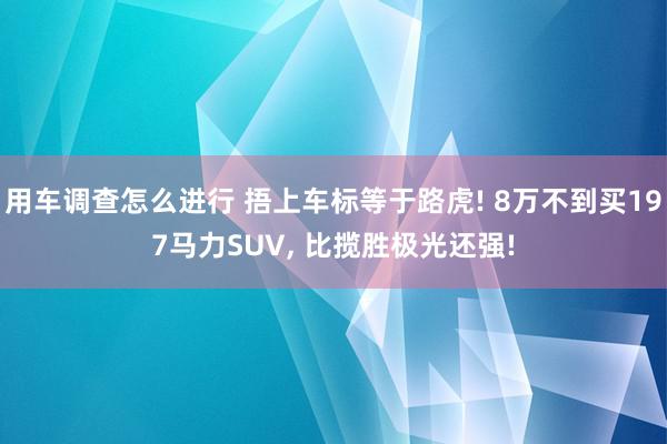 用车调查怎么进行 捂上车标等于路虎! 8万不到买197马力SUV, 比揽胜极光还强!