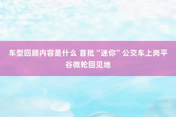 车型回顾内容是什么 首批“迷你”公交车上岗平谷微轮回见地