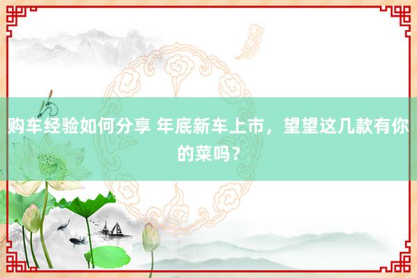 购车经验如何分享 年底新车上市，望望这几款有你的菜吗？