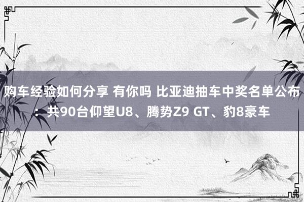 购车经验如何分享 有你吗 比亚迪抽车中奖名单公布：共90台仰望U8、腾势Z9 GT、豹8豪车