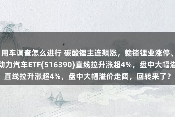 用车调查怎么进行 碳酸锂主连飙涨，赣锋锂业涨停、宁德时间涨3%，新动力汽车ETF(516390)直线拉升涨超4%，盘中大幅溢价走阔，回转来了？