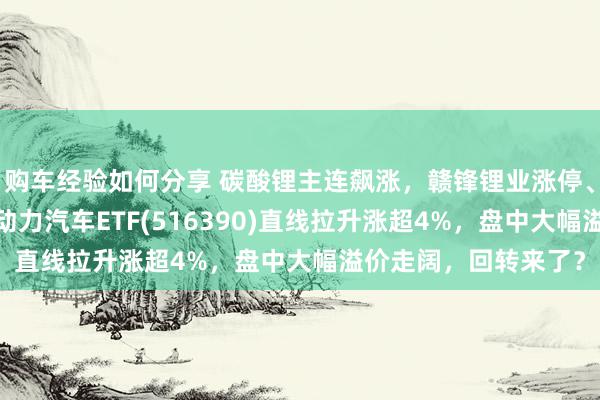 购车经验如何分享 碳酸锂主连飙涨，赣锋锂业涨停、宁德期间涨3%，新动力汽车ETF(516390)直线拉升涨超4%，盘中大幅溢价走阔，回转来了？