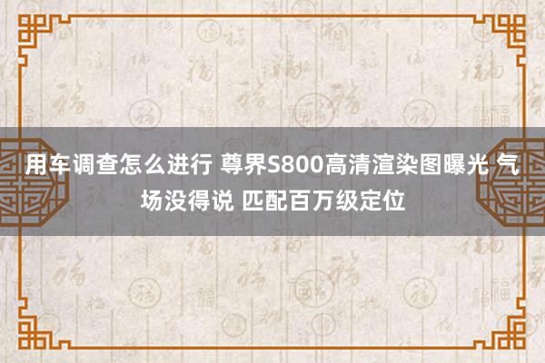 用车调查怎么进行 尊界S800高清渲染图曝光 气场没得说 匹配百万级定位