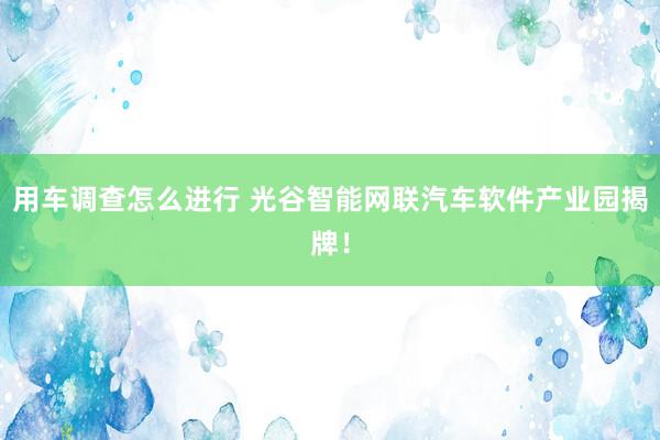 用车调查怎么进行 光谷智能网联汽车软件产业园揭牌！