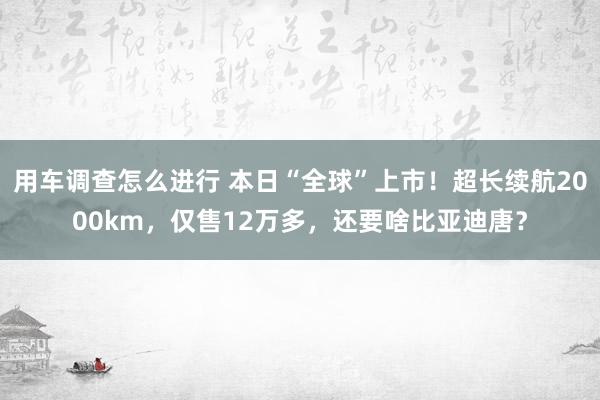 用车调查怎么进行 本日“全球”上市！超长续航2000km，仅售12万多，还要啥比亚迪唐？