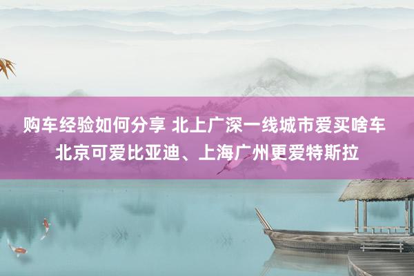 购车经验如何分享 北上广深一线城市爱买啥车 北京可爱比亚迪、上海广州更爱特斯拉