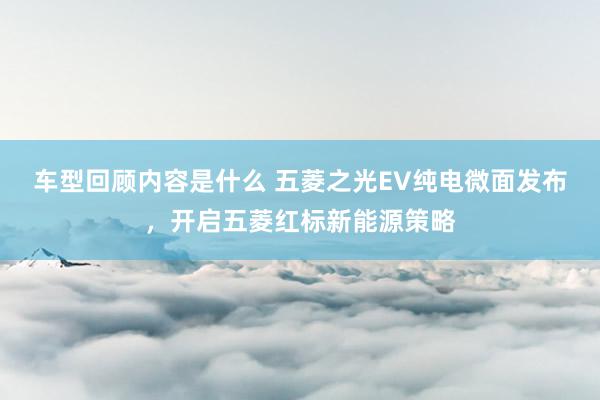 车型回顾内容是什么 五菱之光EV纯电微面发布，开启五菱红标新能源策略