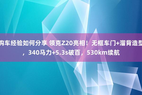 购车经验如何分享 领克Z20亮相！无框车门+溜背造型，340马力+5.3s破百，530km续航