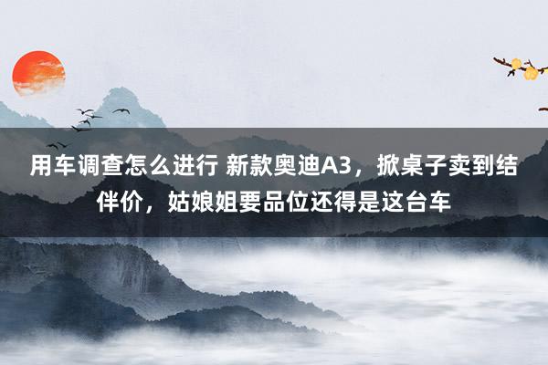 用车调查怎么进行 新款奥迪A3，掀桌子卖到结伴价，姑娘姐要品位还得是这台车