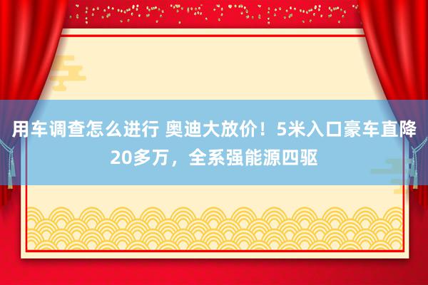 用车调查怎么进行 奥迪大放价！5米入口豪车直降20多万，全系强能源四驱