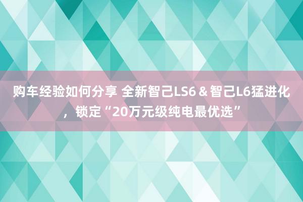 购车经验如何分享 全新智己LS6＆智己L6猛进化，锁定“20万元级纯电最优选”