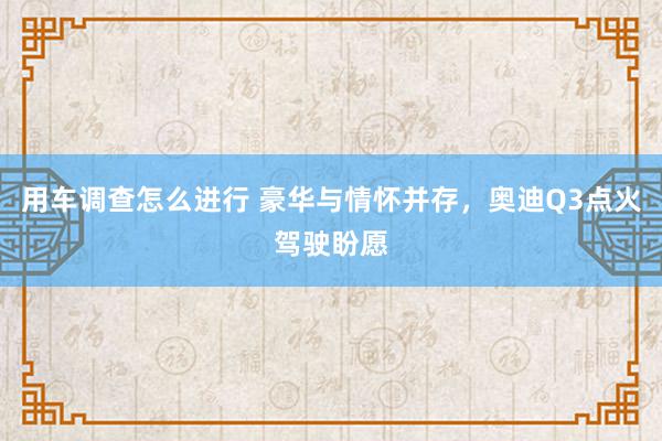 用车调查怎么进行 豪华与情怀并存，奥迪Q3点火驾驶盼愿