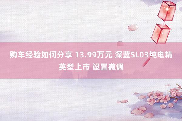 购车经验如何分享 13.99万元 深蓝SL03纯电精英型上市 设置微调