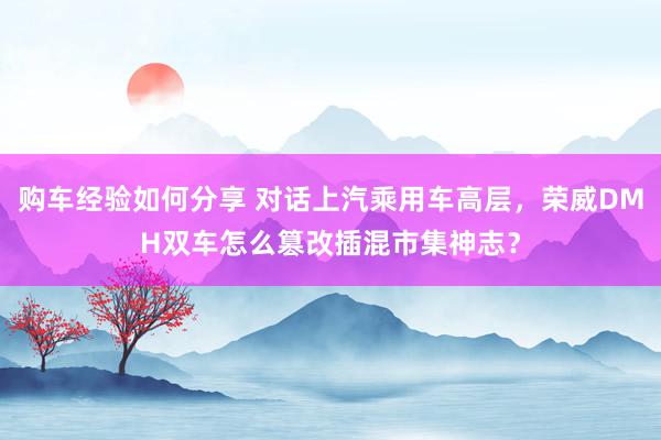 购车经验如何分享 对话上汽乘用车高层，荣威DMH双车怎么篡改插混市集神志？