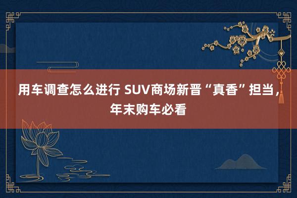 用车调查怎么进行 SUV商场新晋“真香”担当，年末购车必看