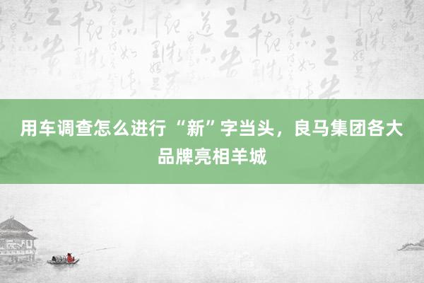 用车调查怎么进行 “新”字当头，良马集团各大品牌亮相羊城