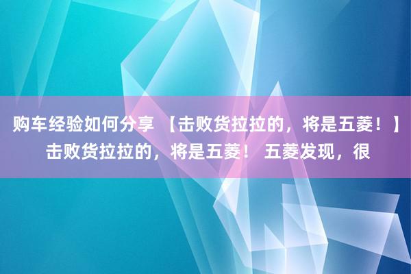 购车经验如何分享 【击败货拉拉的，将是五菱！】 击败货拉拉的，将是五菱！ 五菱发现，很