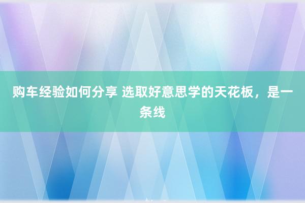 购车经验如何分享 选取好意思学的天花板，是一条线