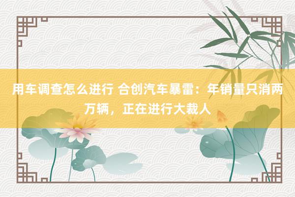 用车调查怎么进行 合创汽车暴雷：年销量只消两万辆，正在进行大裁人