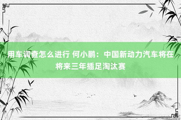 用车调查怎么进行 何小鹏：中国新动力汽车将在将来三年插足淘汰赛