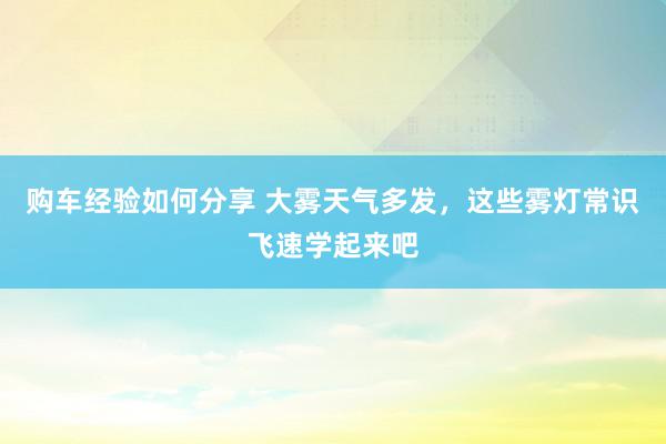 购车经验如何分享 大雾天气多发，这些雾灯常识飞速学起来吧