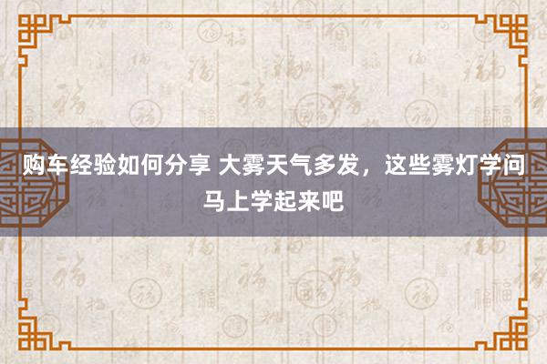 购车经验如何分享 大雾天气多发，这些雾灯学问马上学起来吧