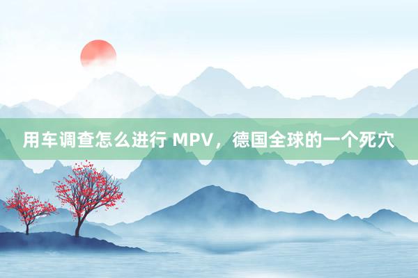 用车调查怎么进行 MPV，德国全球的一个死穴