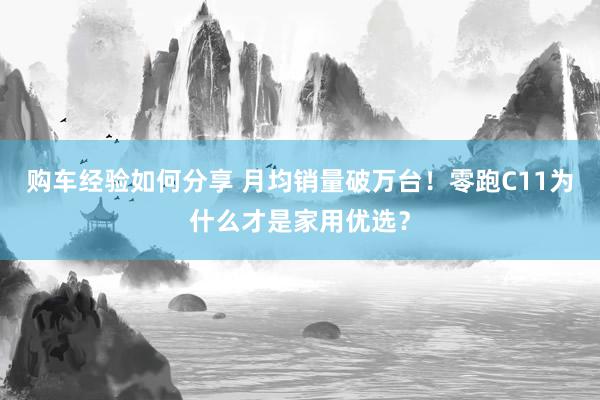 购车经验如何分享 月均销量破万台！零跑C11为什么才是家用优选？