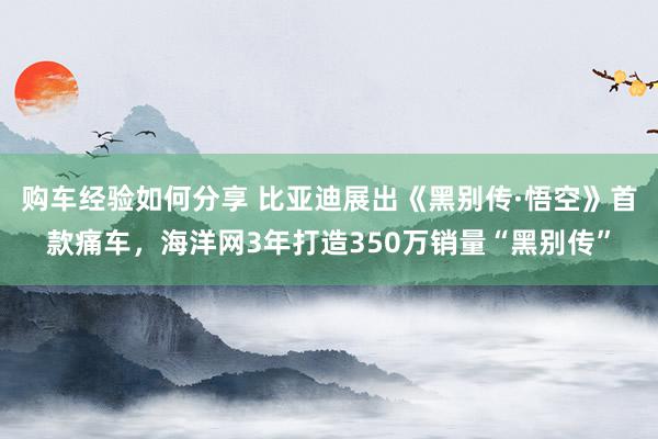 购车经验如何分享 比亚迪展出《黑别传·悟空》首款痛车，海洋网3年打造350万销量“黑别传”