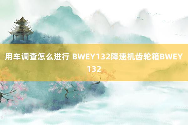 用车调查怎么进行 BWEY132降速机齿轮箱BWEY132