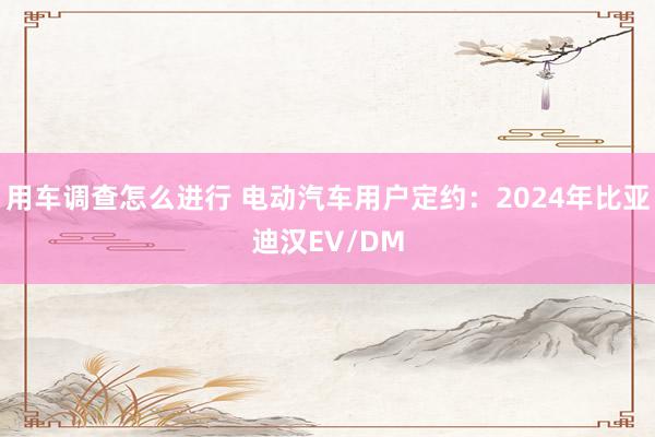 用车调查怎么进行 电动汽车用户定约：2024年比亚迪汉EV/DM