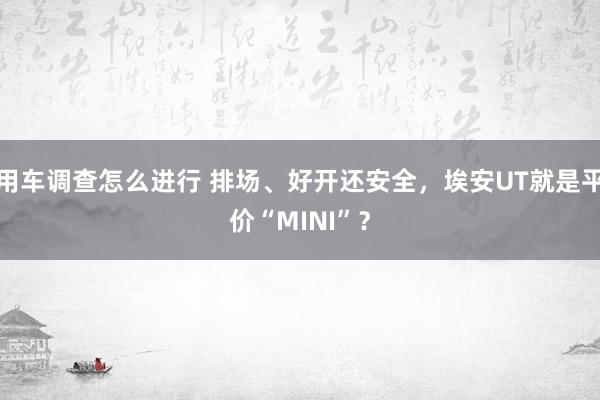 用车调查怎么进行 排场、好开还安全，埃安UT就是平价“MINI”？