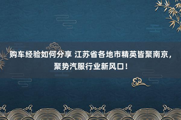 购车经验如何分享 江苏省各地市精英皆聚南京，聚势汽服行业新风口！