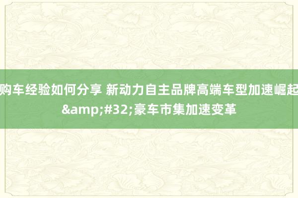 购车经验如何分享 新动力自主品牌高端车型加速崛起&#32;豪车市集加速变革