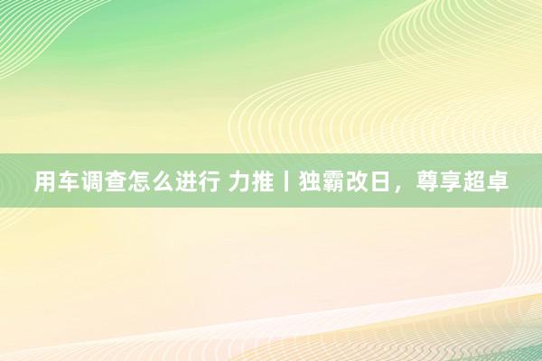 用车调查怎么进行 力推丨独霸改日，尊享超卓