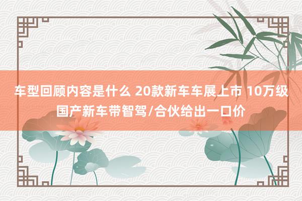 车型回顾内容是什么 20款新车车展上市 10万级国产新车带智驾/合伙给出一口价