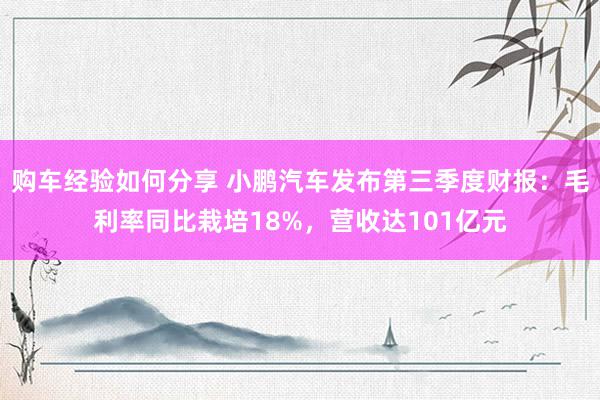 购车经验如何分享 小鹏汽车发布第三季度财报：毛利率同比栽培18%，营收达101亿元