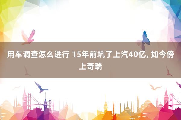 用车调查怎么进行 15年前坑了上汽40亿, 如今傍上奇瑞