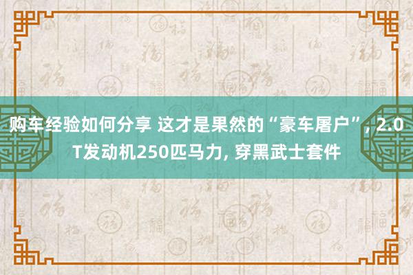 购车经验如何分享 这才是果然的“豪车屠户”, 2.0T发动机250匹马力, 穿黑武士套件