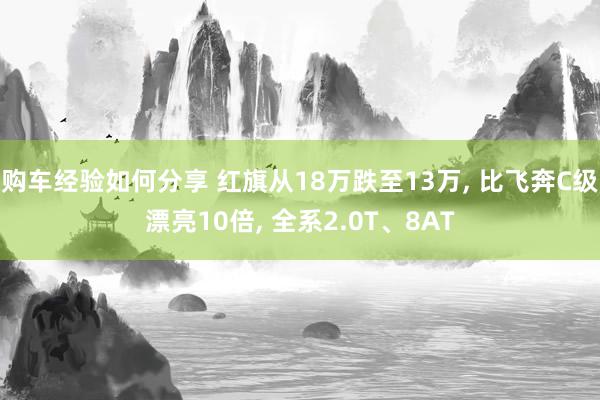 购车经验如何分享 红旗从18万跌至13万, 比飞奔C级漂亮10倍, 全系2.0T、8AT