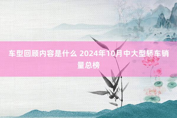 车型回顾内容是什么 2024年10月中大型轿车销量总榜