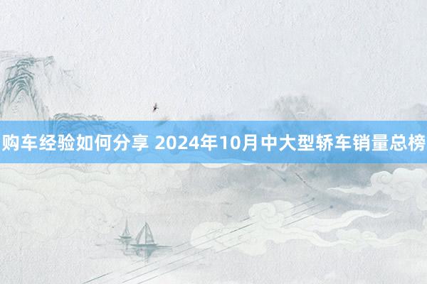 购车经验如何分享 2024年10月中大型轿车销量总榜