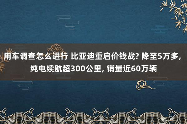 用车调查怎么进行 比亚迪重启价钱战? 降至5万多, 纯电续航超300公里, 销量近60万辆