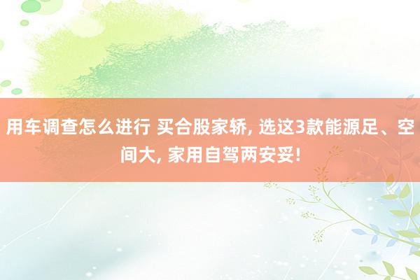 用车调查怎么进行 买合股家轿, 选这3款能源足、空间大, 家用自驾两安妥!