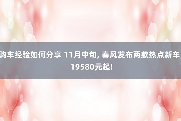 购车经验如何分享 11月中旬, 春风发布两款热点新车, 19580元起!