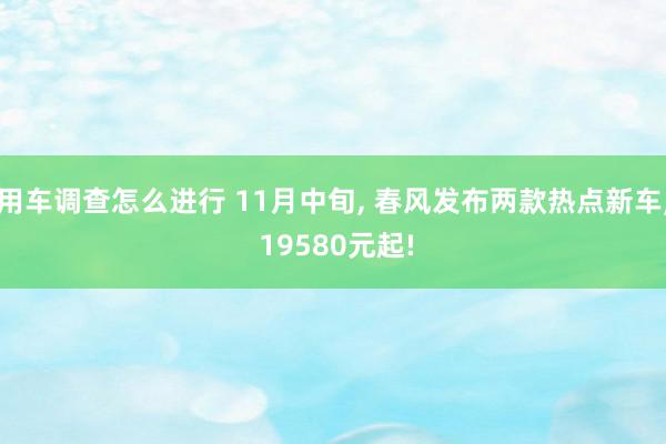 用车调查怎么进行 11月中旬, 春风发布两款热点新车, 19580元起!